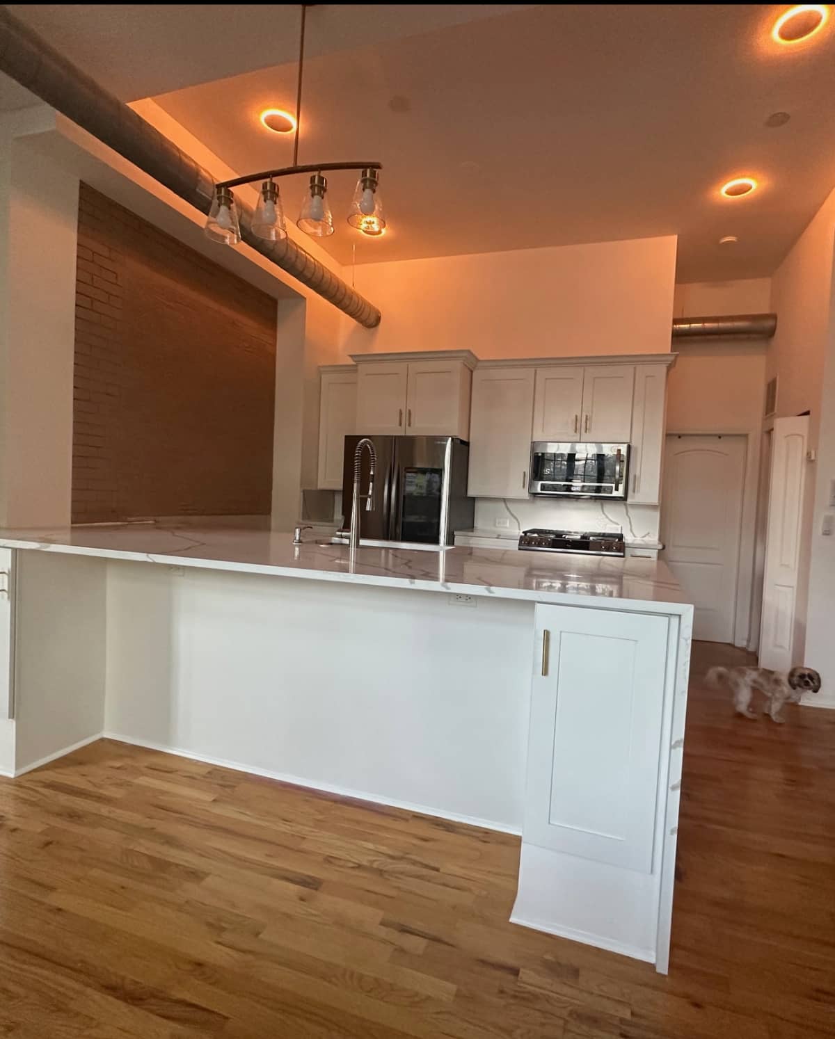Recently installed hanging ceiling light fixture